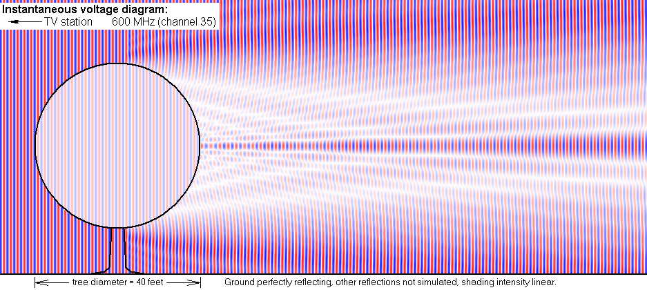 Instantaneous voltage diagram of UHF propagation ripples behind a tree